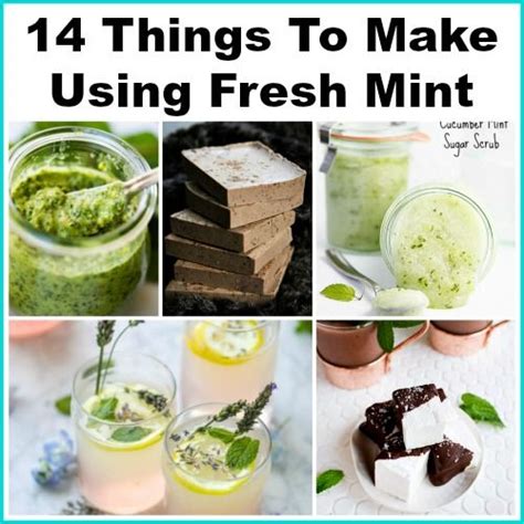 14 Things To Make Using Fresh Mint A Easy To Grow Herb Mint Recipes