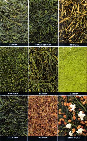 Green tea is a beverage like no other. Types of Japanese Green Tea