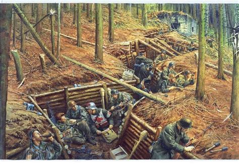 Hurtgen forest — the hürtgen forest (also: Battle of Hürtgen Forest | History war, World war two ...