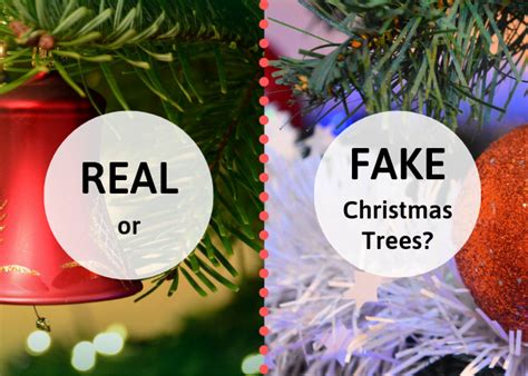 Christmas Trees Are Real Or Fake Trees Better Holidappy