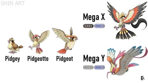 Pidgey Evolution Pokemon Pokedex Pokémon Species Pokemon Card Game