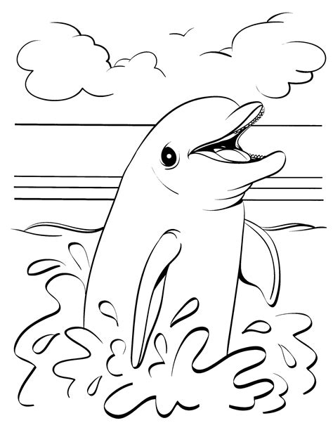 Dibujos De Delfines Para Colorear