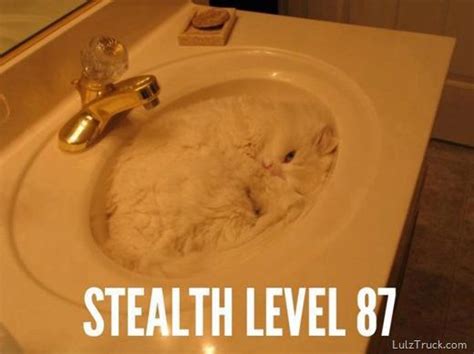 Stealth Level 87 Funny Pictures Quotes Pics Photos