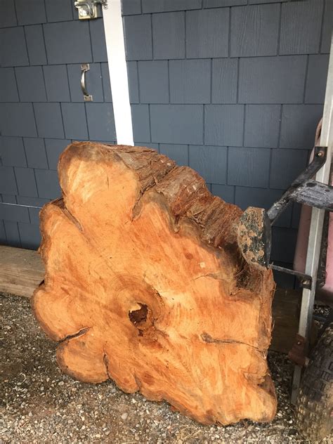 Technique How Can I Make A Cedar Tree Round Into An Outdoor Table