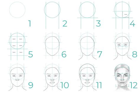 Face Proportions Drawing Female Face Drawing Nose Drawing