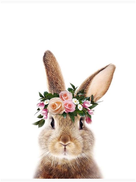 Baby Rabbit With Flower Crown Baby Animals Art Print By Synplus