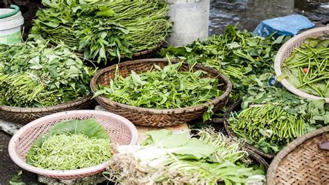 9 Ide Budidaya Tanaman yang Bikin Anda Bisa Jadi Jutawan