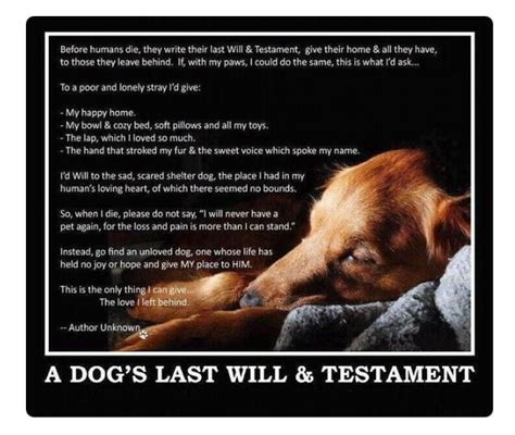 A Dogs Last Will And Testament Will And Testament I Love Dogs Dog