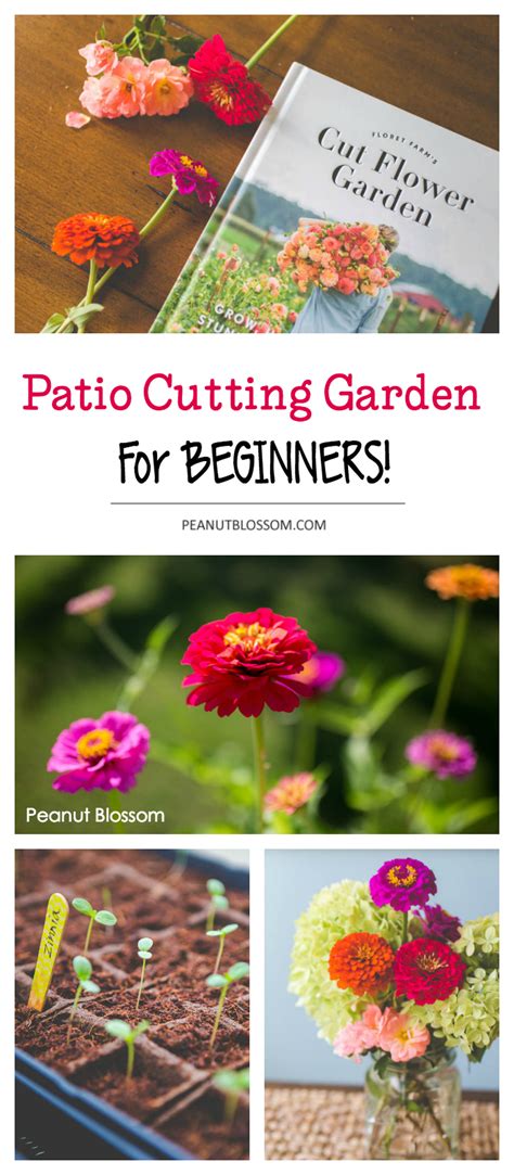 How To Set Up A Cut Flower Garden For Beginners Artofit