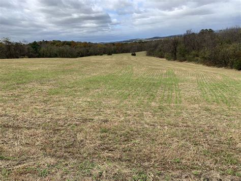 59 Acres Of Open And Wooded Land Horning Farm Agency