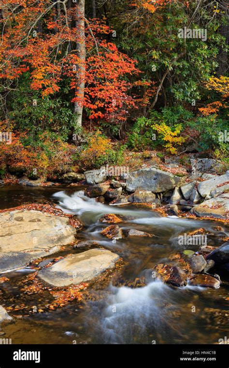 Upstream Of Linville Falls Linville River Blue Ridge Parkway