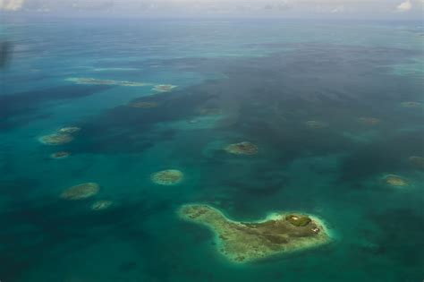 รูปภาพ มหาสมุทร ใต้น้ำ Nikon แนวประการัง แนวปะการัง เวเนซุเอลา