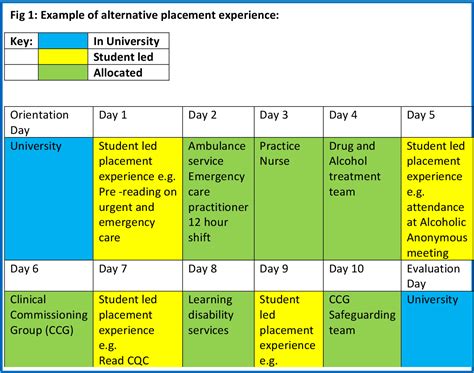 Figure 1 From An Alternative Placement Model For Nursing Students