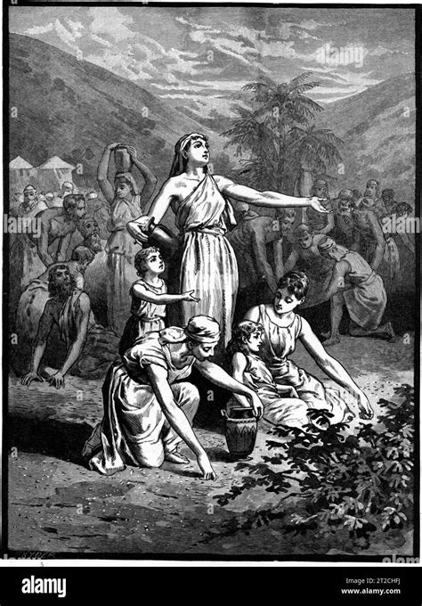 Foster Bible Pictures 0065 1 The Israelites Gather Manna In The