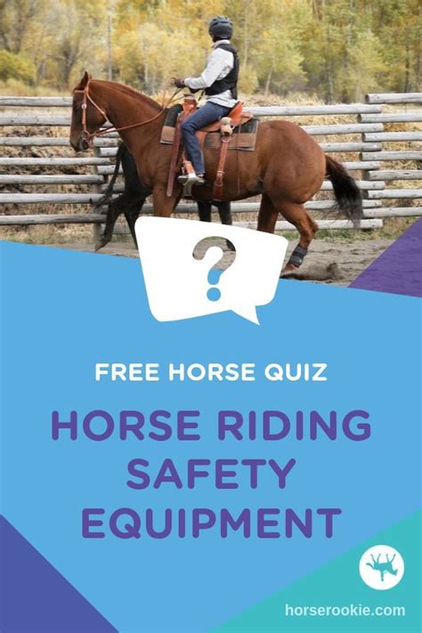Safety Equipment Quiz With Images Horse Quizzes Horse Riding