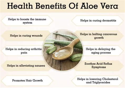 Aloe Vera Juice Whole Leaf Or Inner Fillet