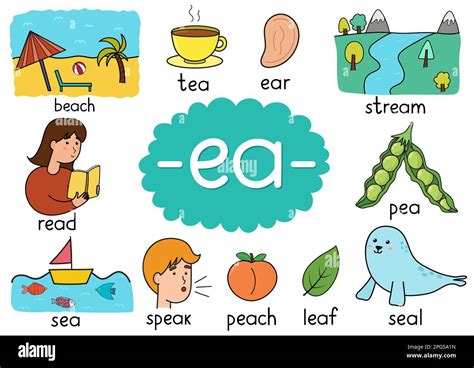 Ea Digraph Spelling Rule Educational Poster For Kids With Words