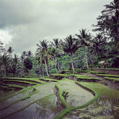 Voyager En Mode Backpacker Circuit à Bali De 10 Jours Le Van Migrateur