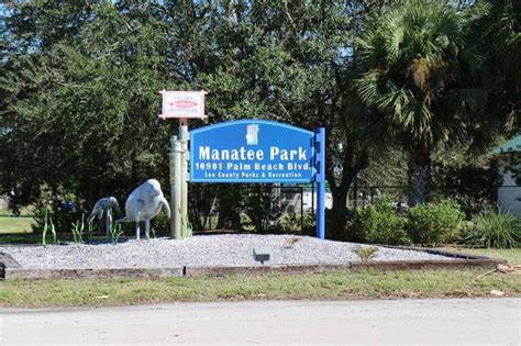 Manatee Park In Fort Myers Is A Great Place To See Manatees Must Do