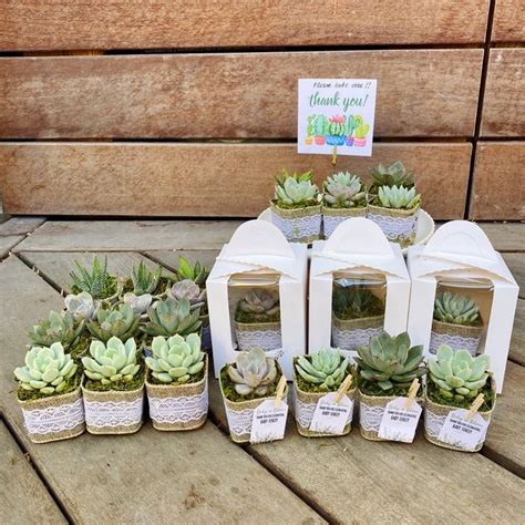 Birthday Party Favors Ts With Burlap Rustic Set Of 15 Succulent