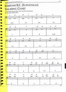 Euphonium Finger Chart 4 Valve Bass Clef Chart Walls