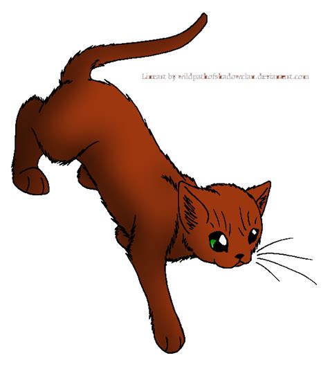 Based on the novel series by erin hunter, warrior cats (2023) is a movie that follows the adventure of an ordinary house cat named rusty as he ventures into what lies beyond his comfortable home. The Warrior Cats Role Play Wiki:Character Art/Approved ...
