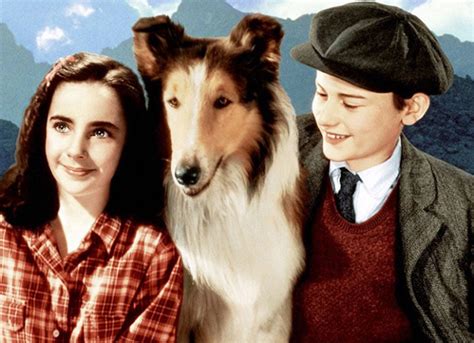 Film Review Lassie Come Home