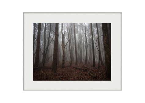 Misty Woods Mounted Print Knowle Top Studios