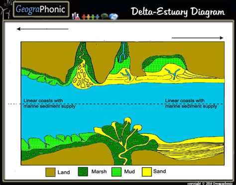 Free Quiz Game Delta Estuary Diagram Delta Estuary Deltas