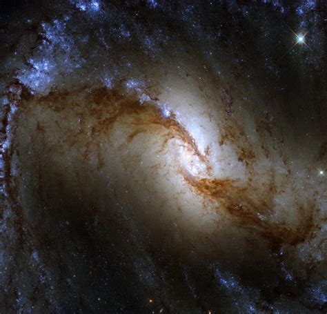 Survey Of The Stars Hubble Captures Great Barred Spiral Galaxy In A