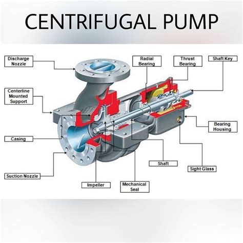Working Principle Of Centrifugal Pump Nnewsto