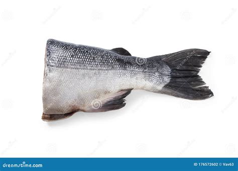 Salmon Tail Stock Photo Image Of Fresh Background 176572602