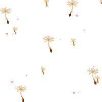 Sakura brushes for gimp, pink petal transparent background png clipart. meme btsschool >...