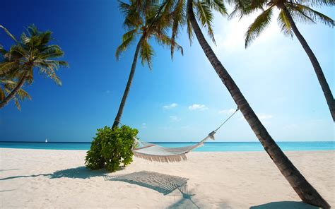 Nature Landscape Hammocks Beach White Sand Palm Trees Sea Blue