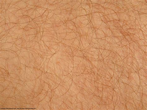 Nasolabial Folds Skin Textures Skin Human