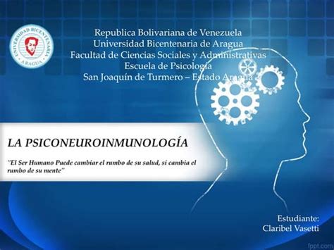 Curso De Experto En Psiconeuroinmunoendocrinología Y Nutrición Ortomolecular En Terrassa Barcelona