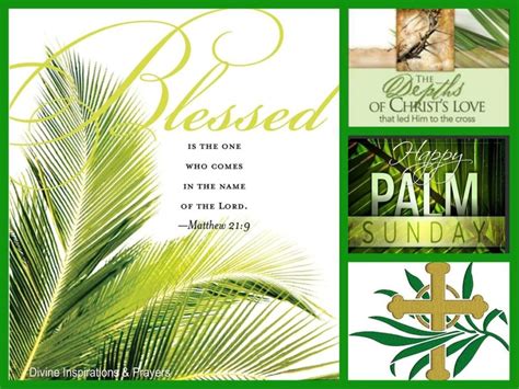 Palm Sunday Blessing Poems Oppidan Library