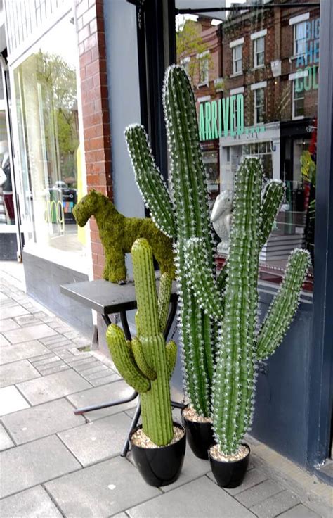 10 Diy Cactus Inspired Crafts Diy To Make
