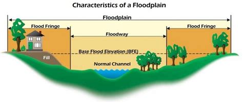 The Role Of Floodplain Management In Public Safety — Coffey Engineering