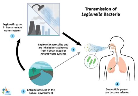 Legionella Testing Procedure