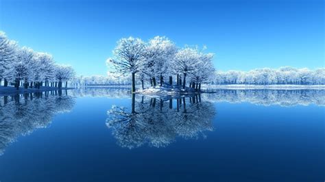 Trees With Water Wallpaper 63 Images