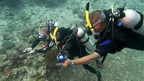 Courses · Aussie Divers Phuket