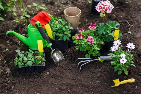 Gardening Tips To Help You Have The Garden Of Your Dreams