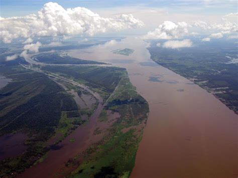 The Amazon River Delta One Of The Most Biodiverse Areas On Earth