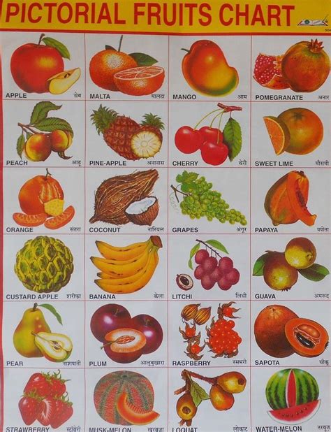 If you have any question, please leave in comment below. School Chart Print of Pictorial Fruits Chart in Hindi ...