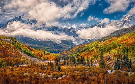 Wonderful Autumn Landscape Forest Yellow White Fog Vapor Cloud