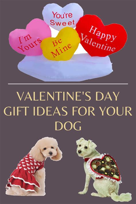 Valentines Day T Ideas For Your Dog Valentines Day Dog Your Dog