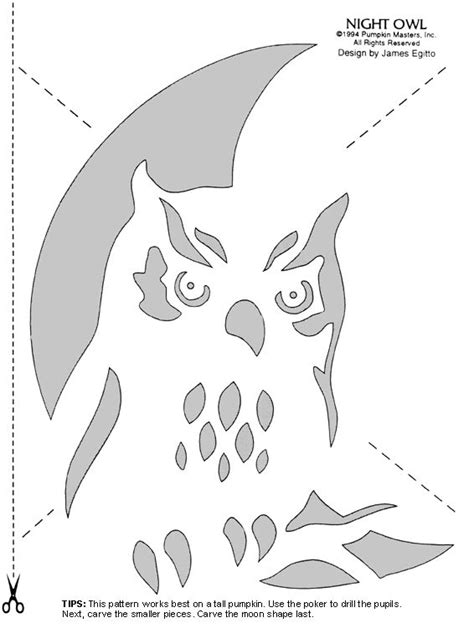 Carve Pumpkins Into Birds With These Stencils Owl Pumpkin Carving