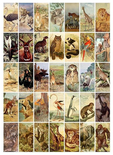 Printable Vintage Wild Animals Digital Collage Sheet Clip Art Animals