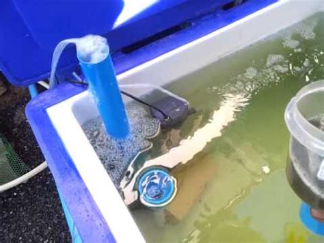 Diy fractionator to save a considerable of money, a do it yourself (diy) foam fractionator can be built based on 6 pvc pipe and ﬁttings. Surface-Protein Skimmer for Koi pond(Thailand) - YouTube